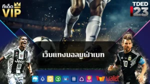 เว็บแทงบอลยูฟ่าเบท