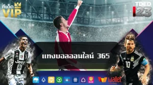 แทงบอลออนไลน์ 365